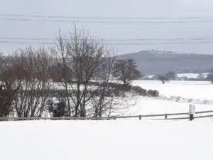The view from York House Holiday Park after The Beast from the East