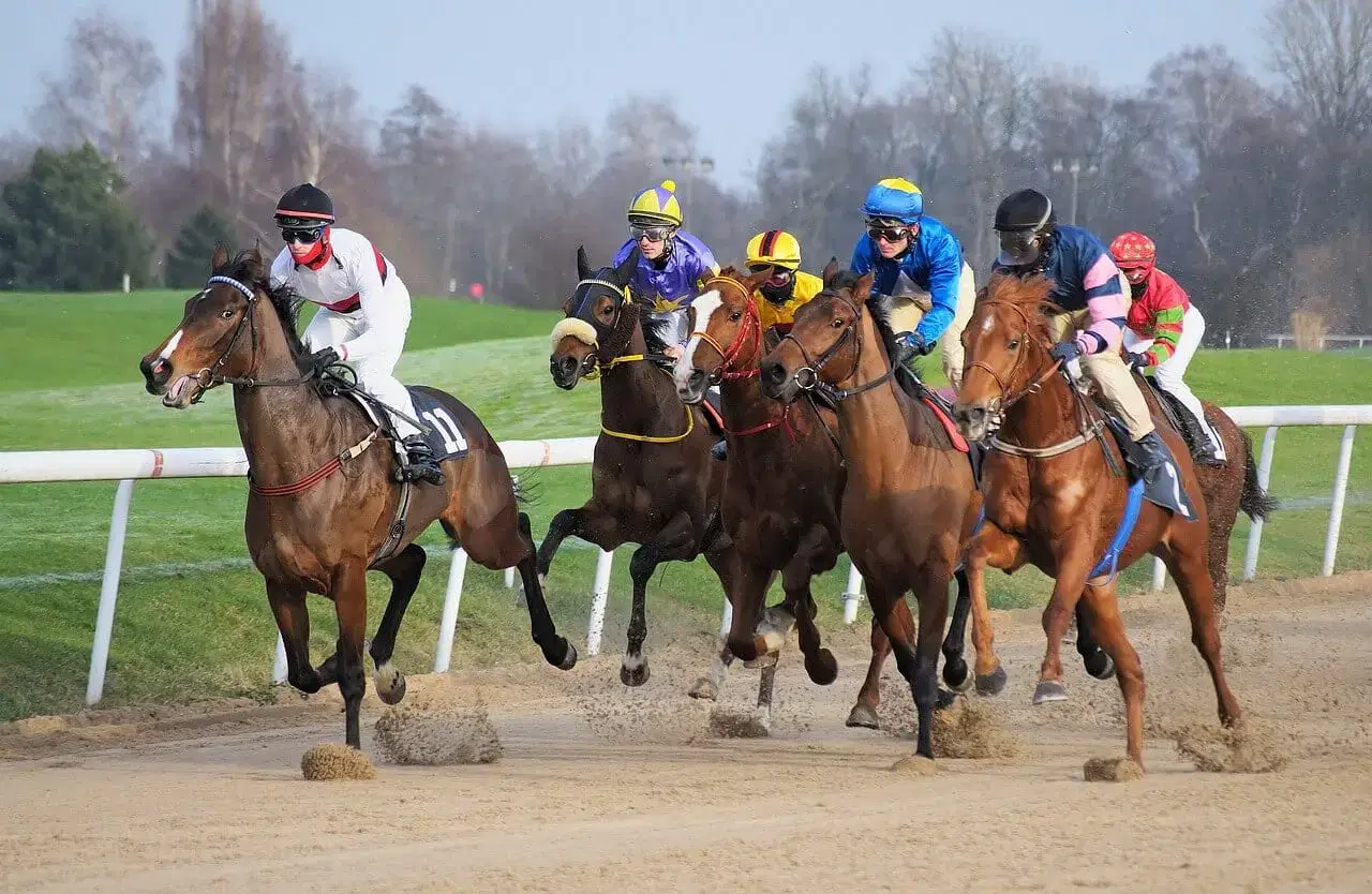 Horse racing in North Yorkshire