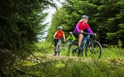 Bike hire at York House Holiday Park