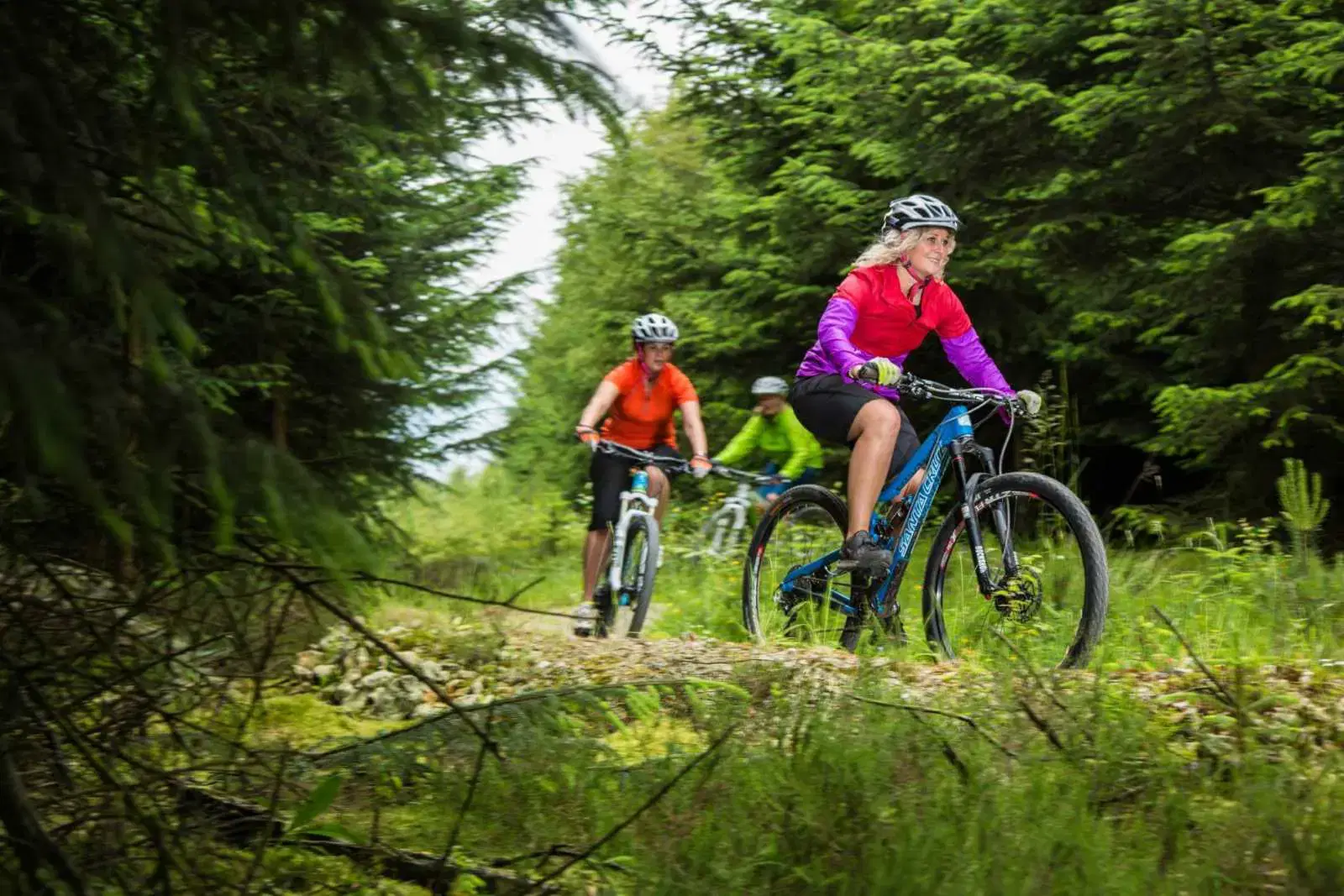 Bike hire at York House Holiday Park