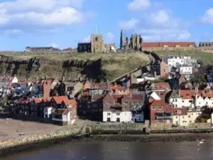 love holiday parks Whitby