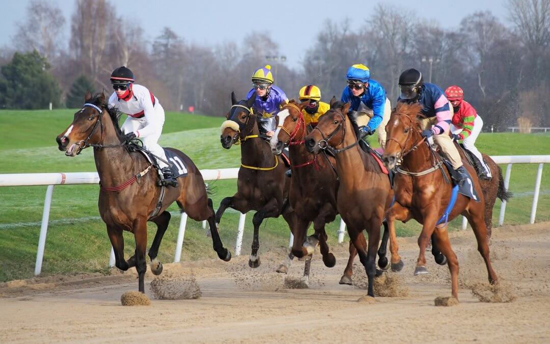 horse racing in north yorkshire