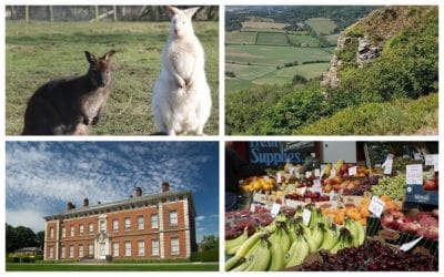 Discover Hambleton – an overlooked gem!