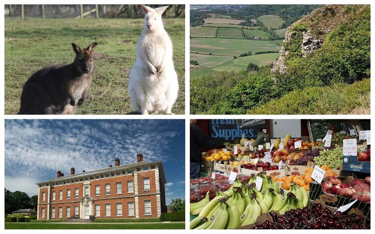 discover-hambleton-monk-park-farm-sutton-bank-beningbrough-hall